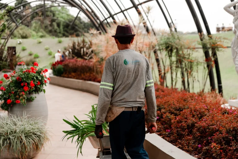 Curso de CULTIVO BAJO ABRIGO — formación SEPE