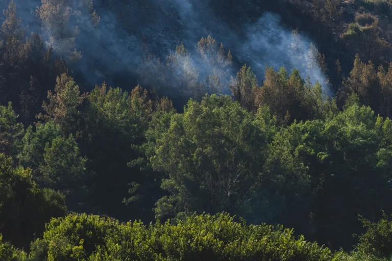 Curso de INVESTIGACIÓN DE INCENDIOS FORESTALES — formación SEPE