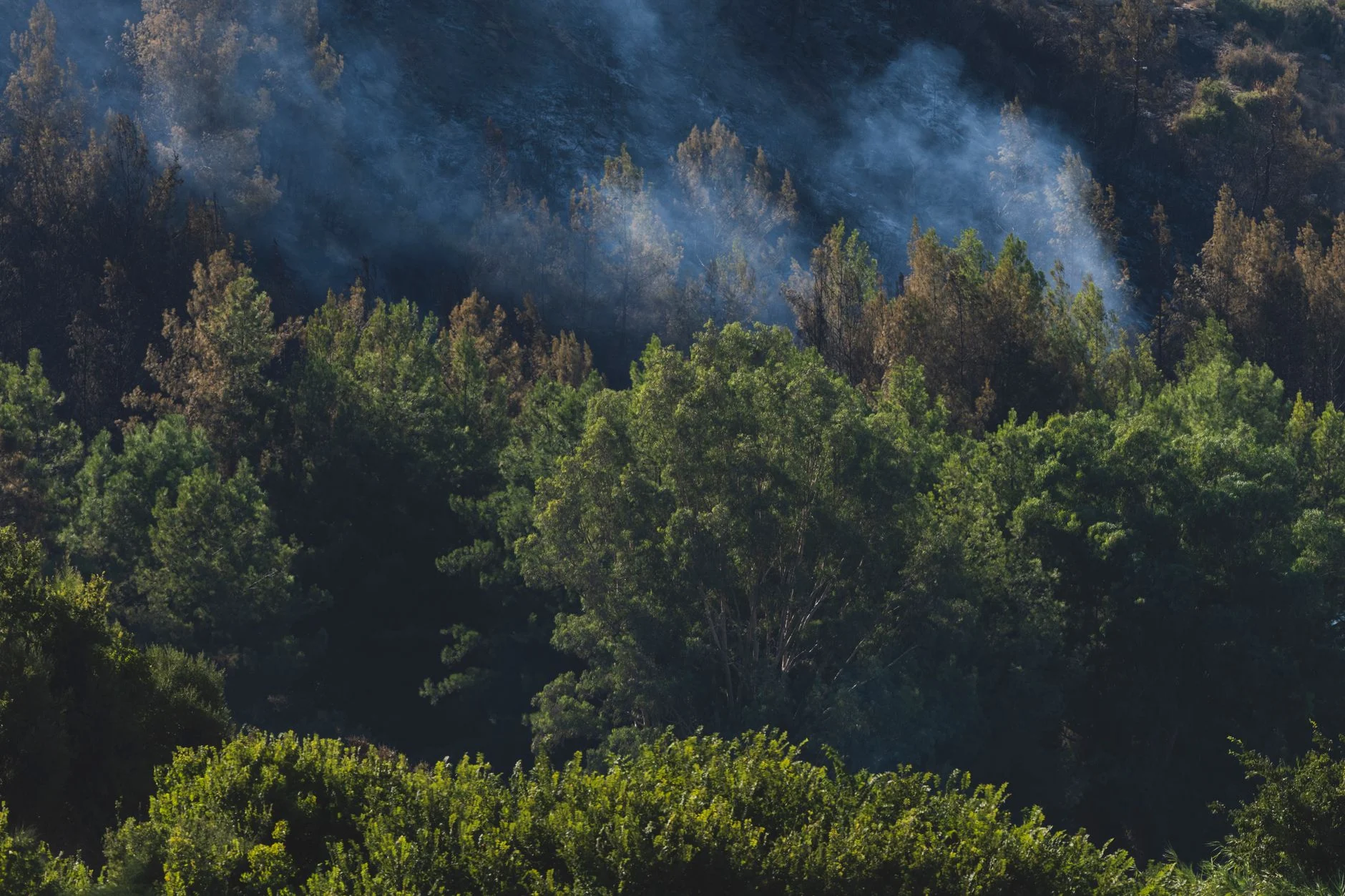 Curso de INVESTIGACI&Oacute;N DE INCENDIOS FORESTALES &mdash; formaci&oacute;n SEPE