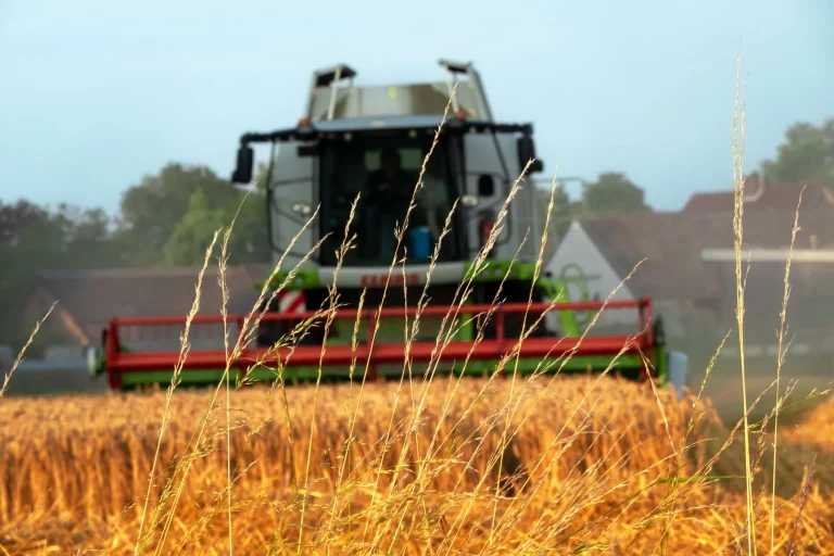 Curso de SUPERVISIÓN AGRÍCOLA MEDIANTE IMÁGENES Y DRONES — formación SEPE