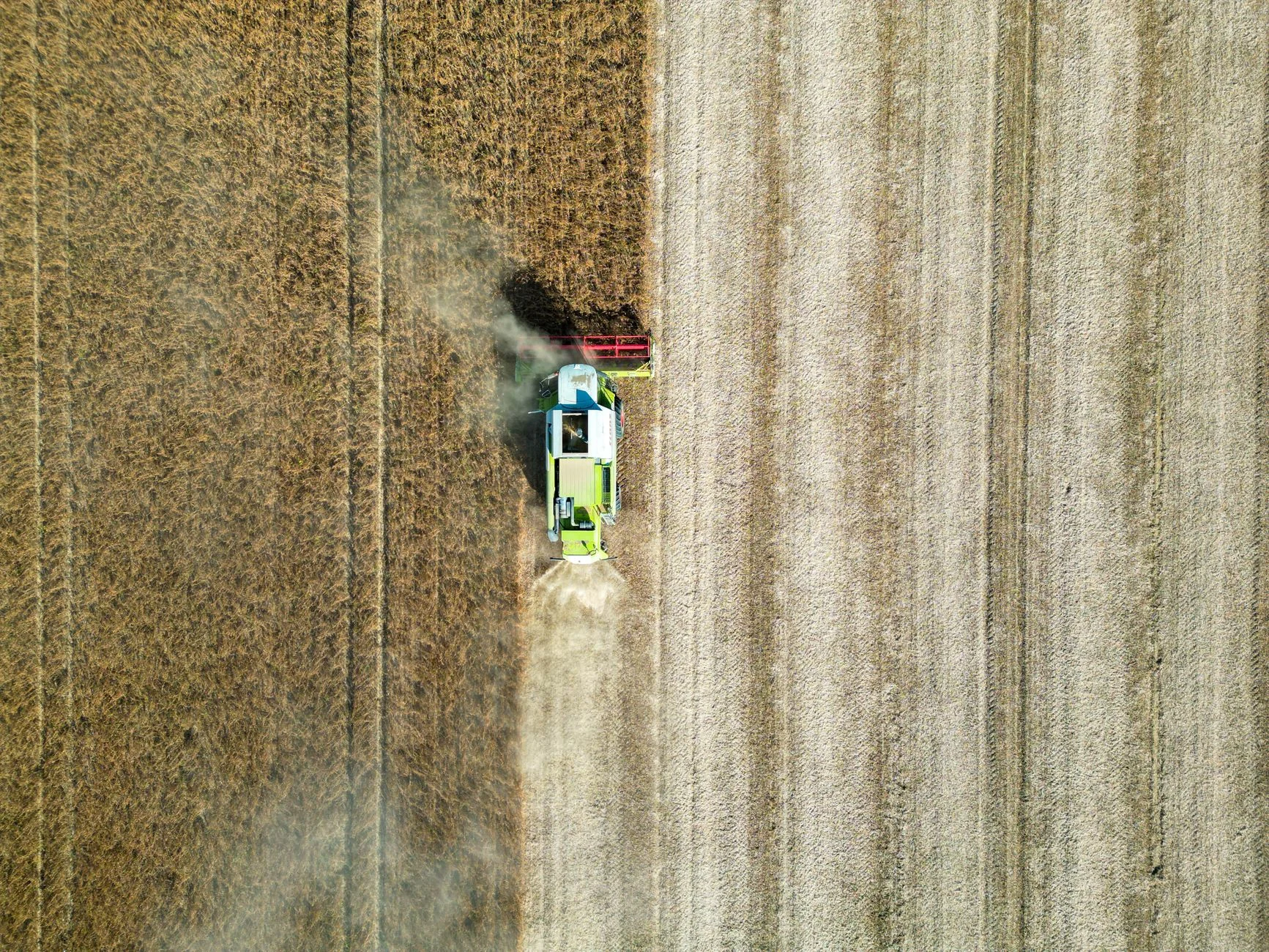 Curso de TRAZABILIDAD EN EL SECTOR AGRARIO &mdash; formaci&oacute;n SEPE